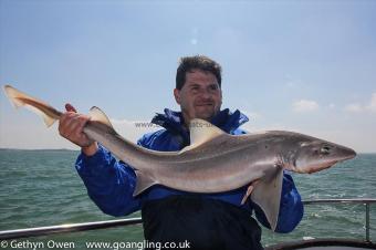 14 lb Starry Smooth-hound by Jones