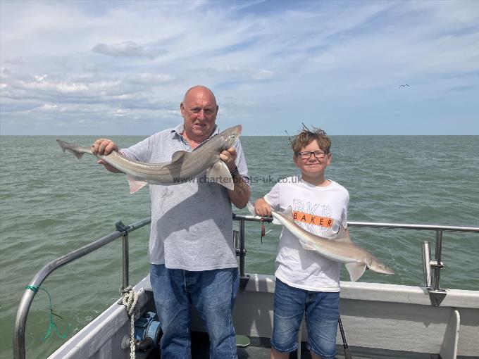 11 lb Smooth-hound by Unknown