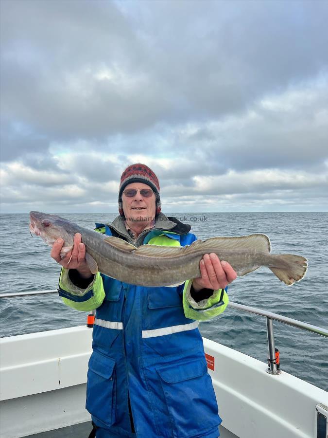 7 lb Ling by Bob Nicholls