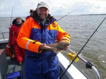 1 lb Flounder by Unknown