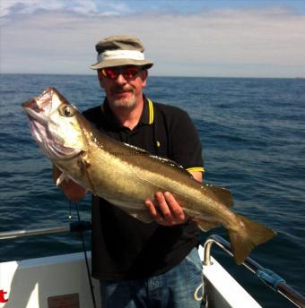 12 lb 6 oz Pollock by Unknown