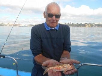 9 oz Red Mullet by Bill - Salisbury Anchor SAC