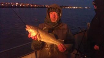 3 lb 3 oz Cod by phil from stanley tackle