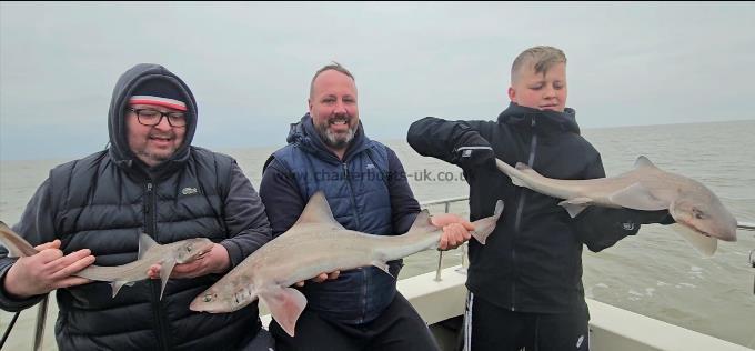 11 lb 9 oz Smooth-hound by Ross