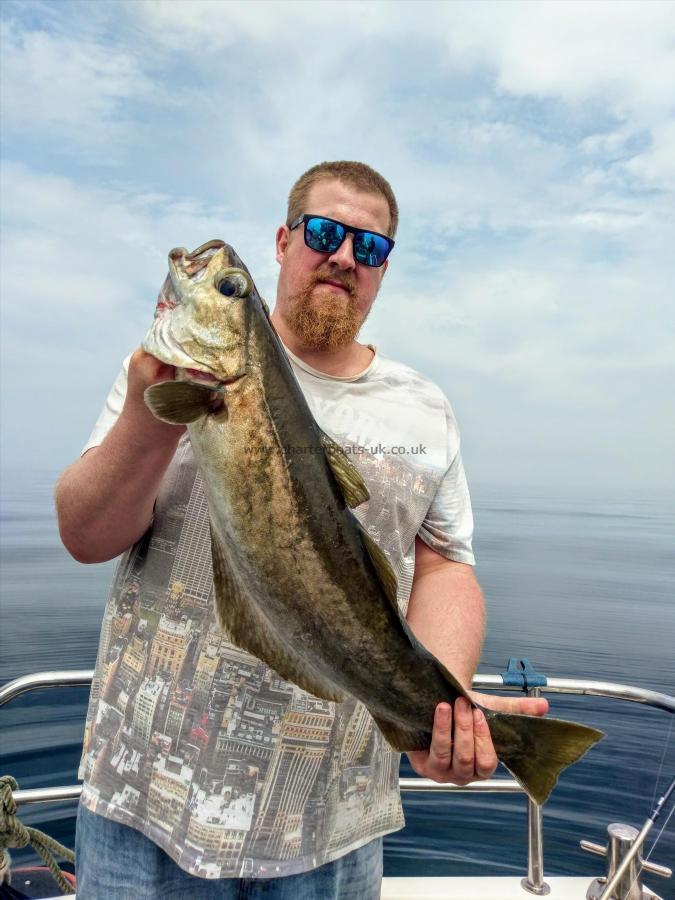 6 lb 9 oz Pollock by Unknown