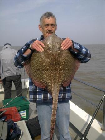 21 lb 4 oz Thornback Ray by Tommy Lewis