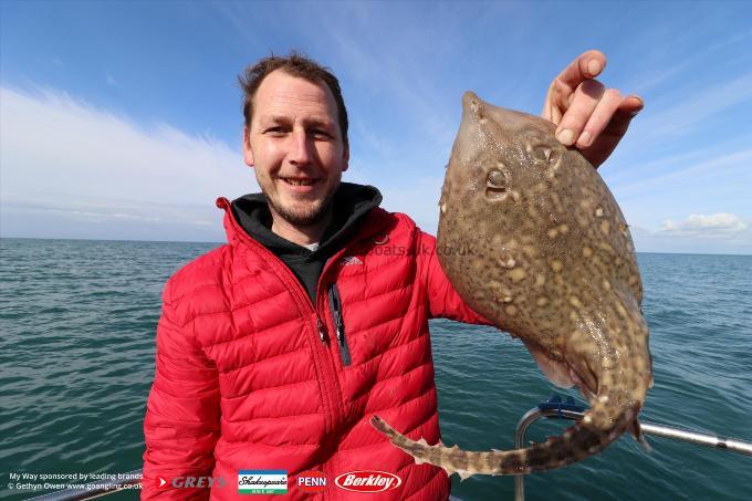 3 lb Thornback Ray by Mark