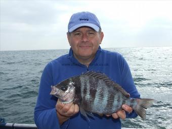 2 lb 9 oz Black Sea Bream by Mark Calver