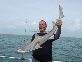 2 oz Smooth-hound by Unknown