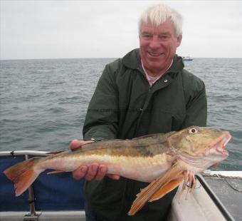 6 lb 12 oz Tub Gurnard by Stan