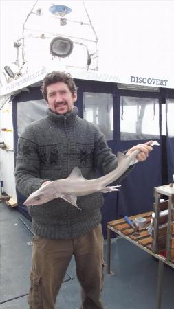 8 lb 4 oz Starry Smooth-hound by Mitch