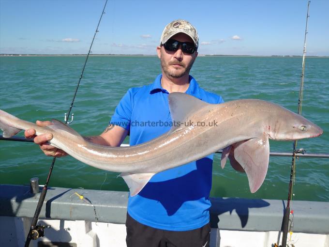 13 lb 6 oz Smooth-hound (Common) by Martin