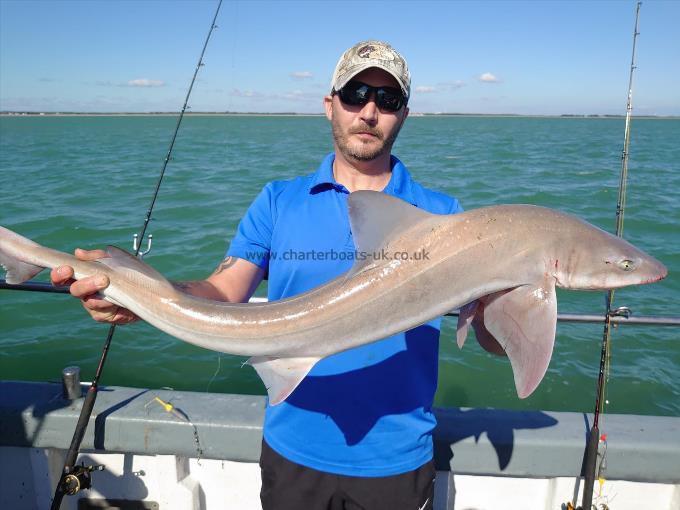 13 lb 6 oz Smooth-hound by Martin