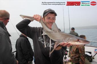 6 lb Starry Smooth-hound by Andy