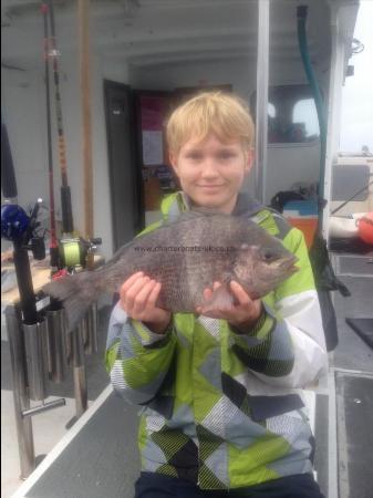 3 lb 8 oz Black Sea Bream by Harry, 14yrs old