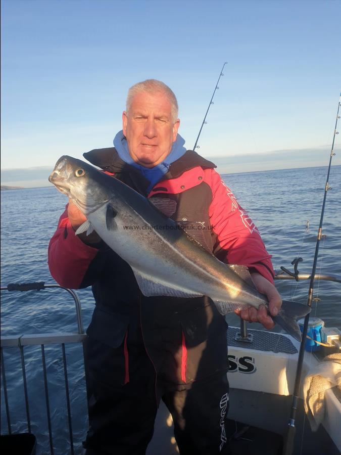 4 lb 7 oz Coalfish (Coley/Saithe) by Martin Hoole from akworth