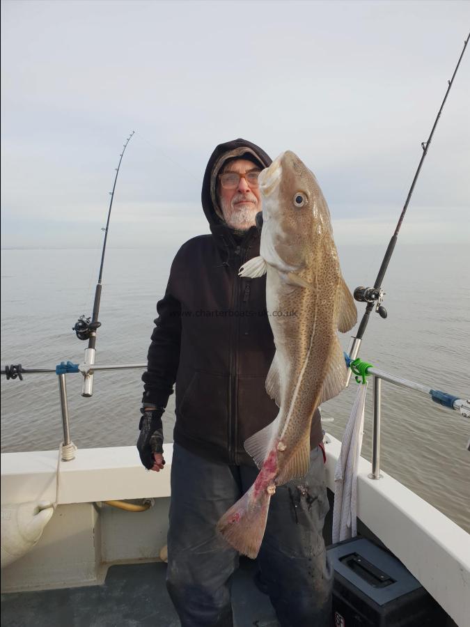 11 lb Cod by Unknown