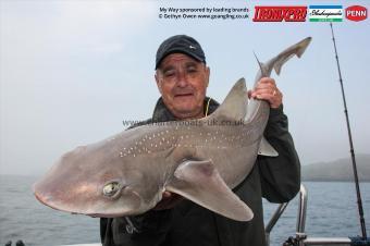 19 lb Starry Smooth-hound by Steve
