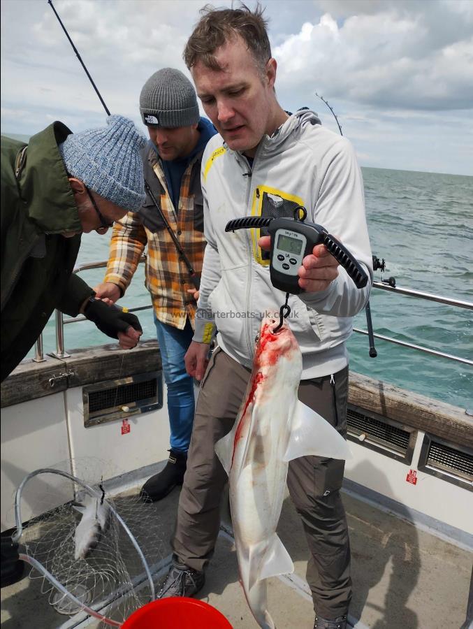 8 lb 4 oz Smooth-hound by Unknown