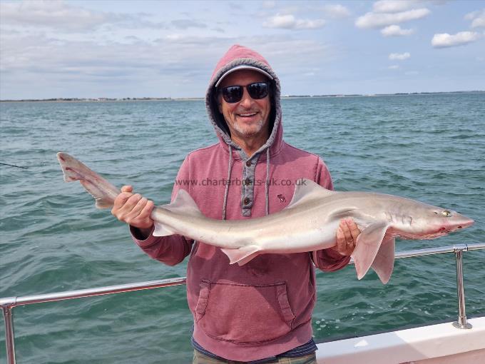 12 lb Smooth-hound by Wayne from Ashford