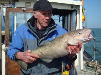 11 lb 8 oz Cod by jack