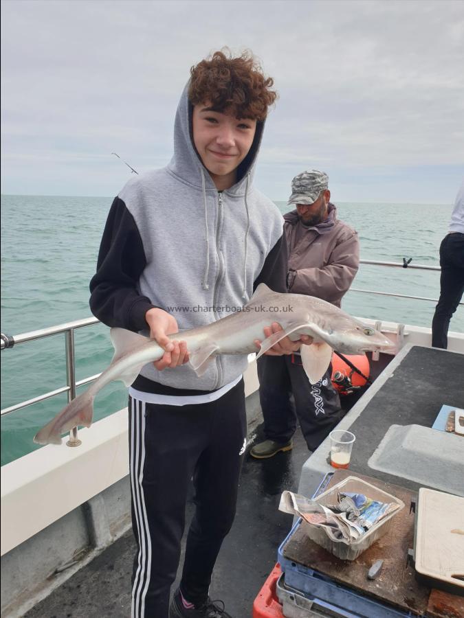 7 lb 8 oz Starry Smooth-hound by Bob Marshall