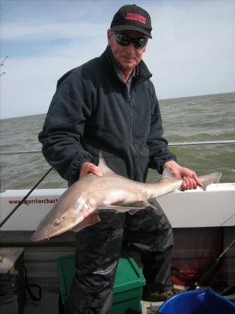 14 lb Smooth-hound (Common) by Mark Wray