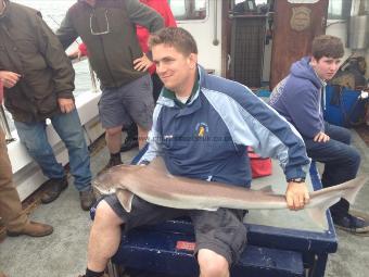 35 lb Tope by Unknown