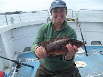 3 lb Ballan Wrasse by Unknown