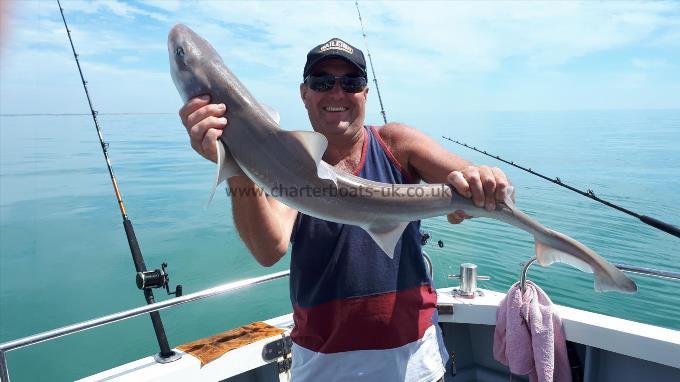 13 lb 8 oz Smooth-hound (Common) by Pete  evans