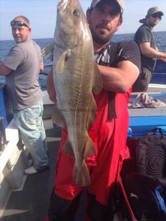 18 lb Cod by Unknown