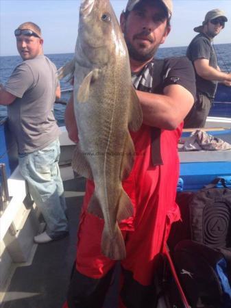 18 lb Cod by Unknown