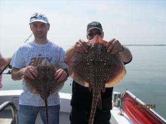 5 lb Thornback Ray by Spalding Boys