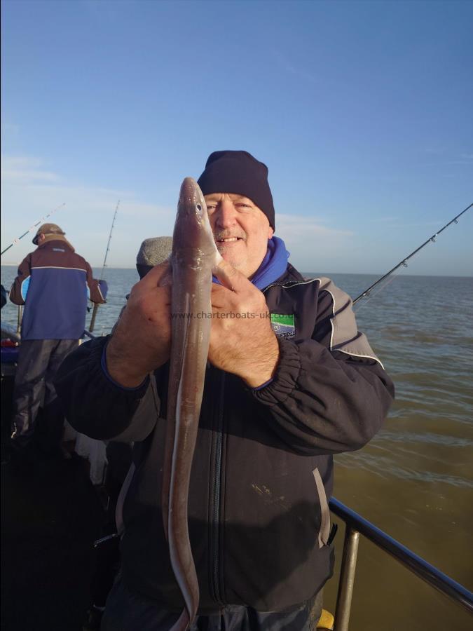 5 lb Conger Eel by Teddy