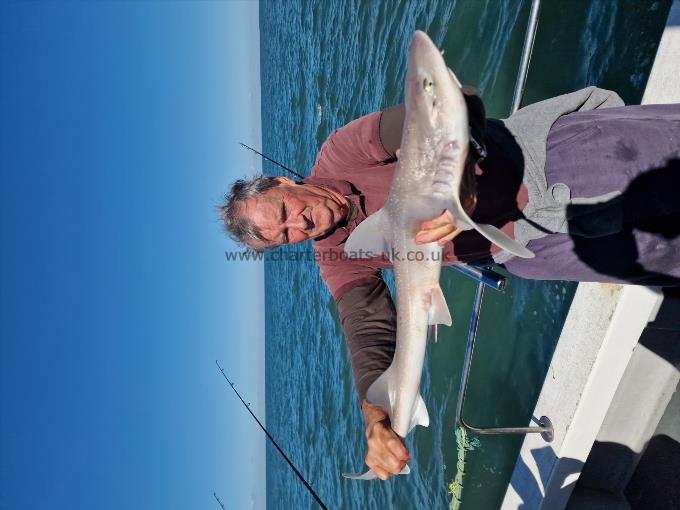 8 lb Starry Smooth-hound by John the feet