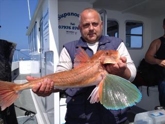 7 lb 2 oz Tub Gurnard by John Dowling