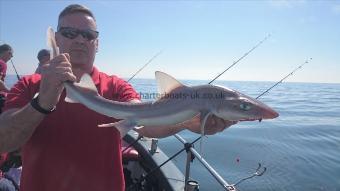 6 lb 4 oz Starry Smooth-hound by Marvin from Ramsgate