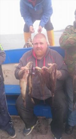 3 lb 8 oz Cod by Dave Harrison