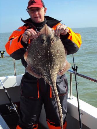 11 lb 12 oz Thornback Ray by Mel Murfitt