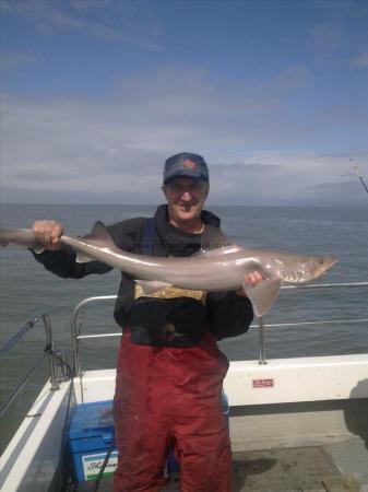 12 lb Smooth-hound (Common) by John Coles M.I.B. SAC