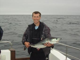 27 lb Porbeagle by unknown