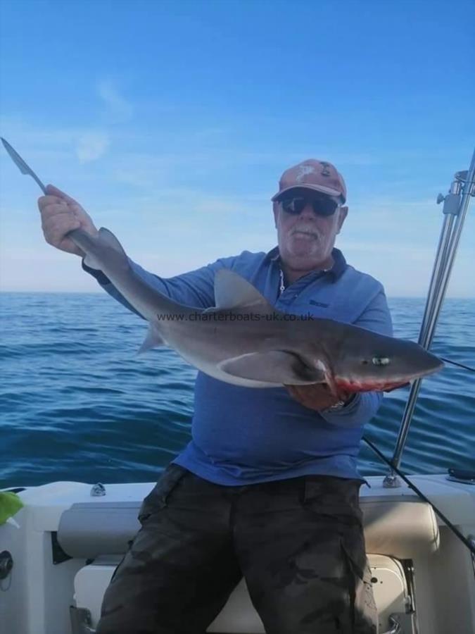 18 lb Smooth-hound (Common) by Ken Collins