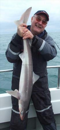 14 lb 4 oz Spurdog by Trevor Lockyer