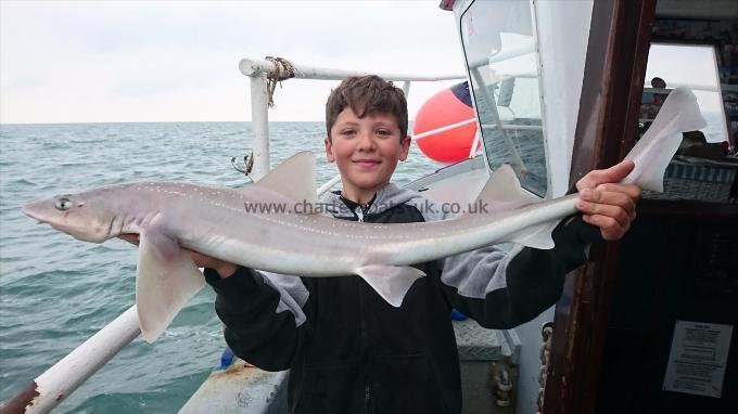 6 lb 2 oz Smooth-hound (Common) by Freddy from Kent