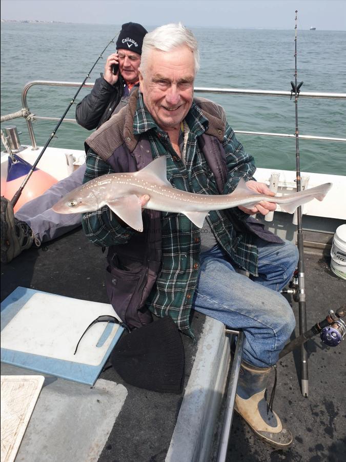 6 lb Starry Smooth-hound by Bob Marshall