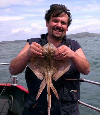 3 lb Spotted Ray by Unknown