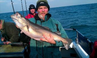 16 lb 12 oz Pollock by simon (daggers)