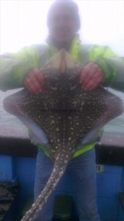 11 lb 5 oz Thornback Ray by gary from eltham