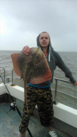 7 lb Thornback Ray by james