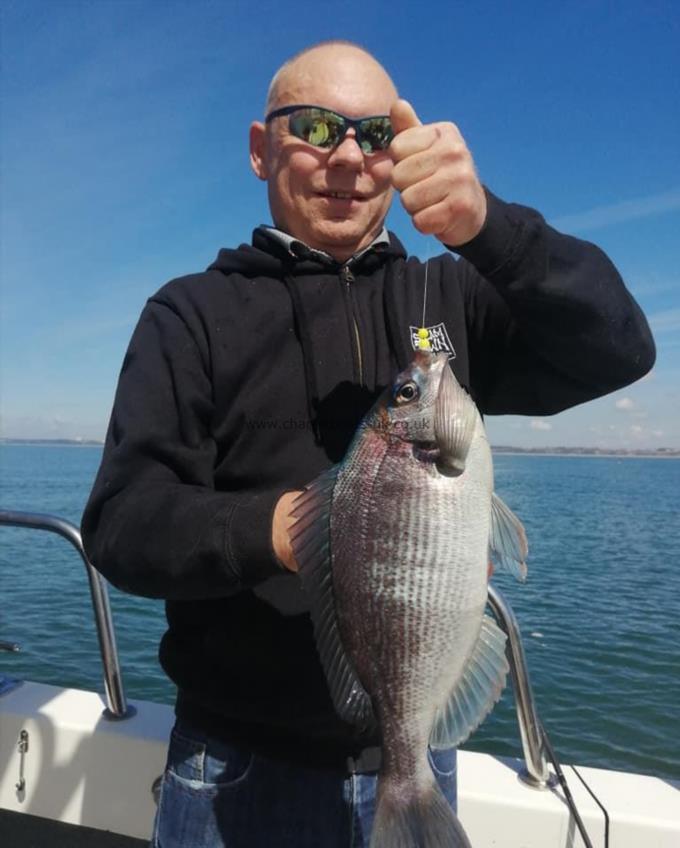 1 lb 12 oz Black Sea Bream by Alan